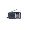 RADIO DUAL STROMBERGER RA-2011